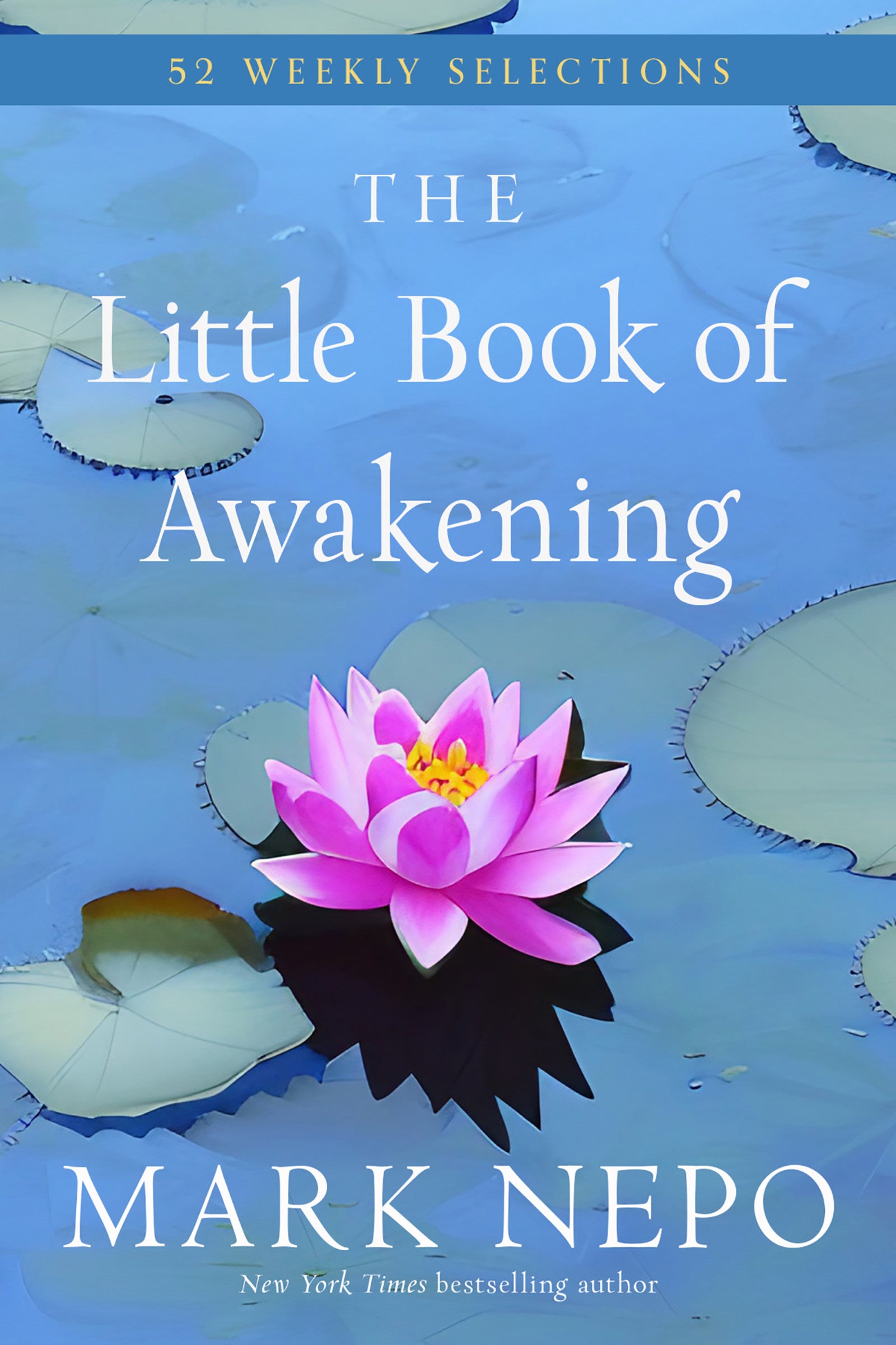 The Little Book of Awakening